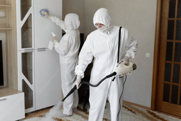 Best Professional Mold Removal  in Brewster, WA
