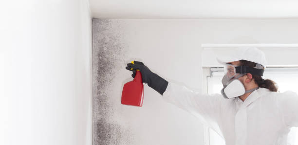 Best Affordable Mold Removal  in Brewster, WA