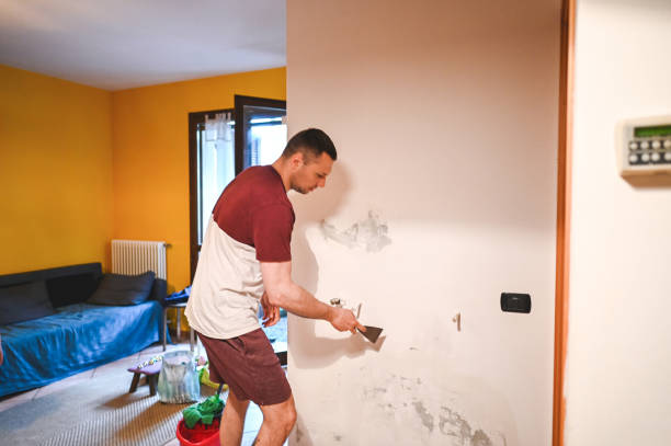 Best Best Mold Removal Companies  in Brewster, WA