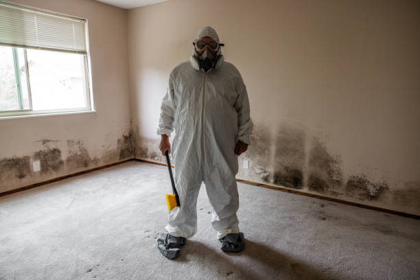 Best Mold Remediation  in Brewster, WA